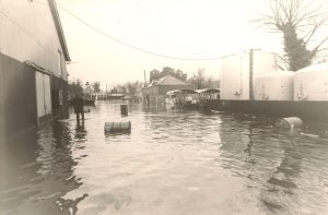 Macardles Flood